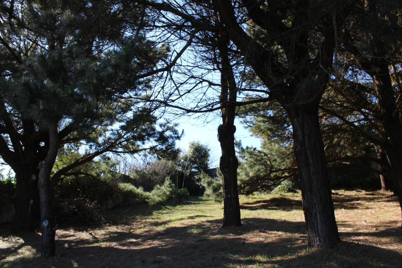 Finca Dos Mares Ferrol Eksteriør billede